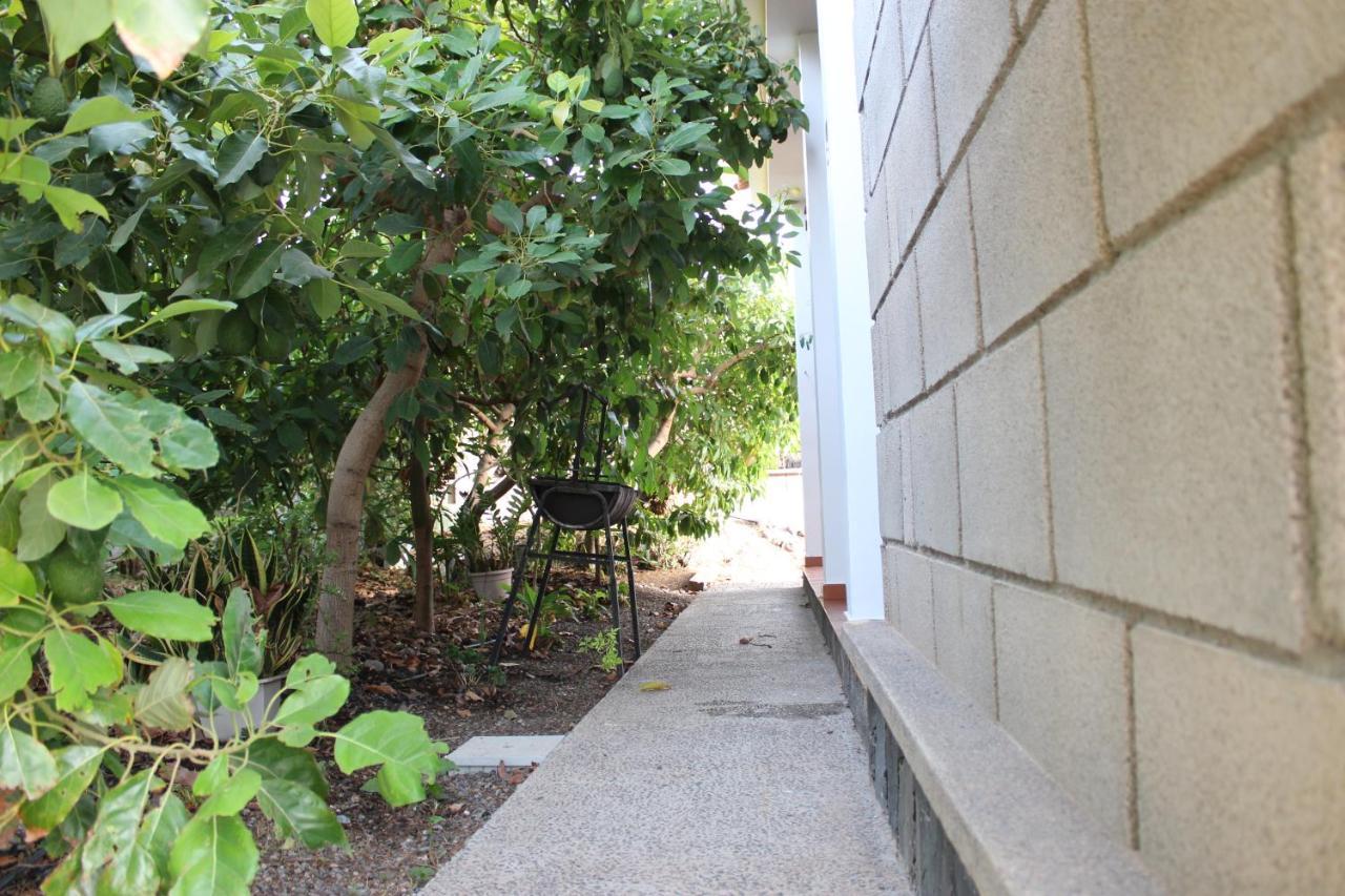 הוילה לאס פאלמס דה גראן קנאריה Casita Lily מראה חיצוני תמונה