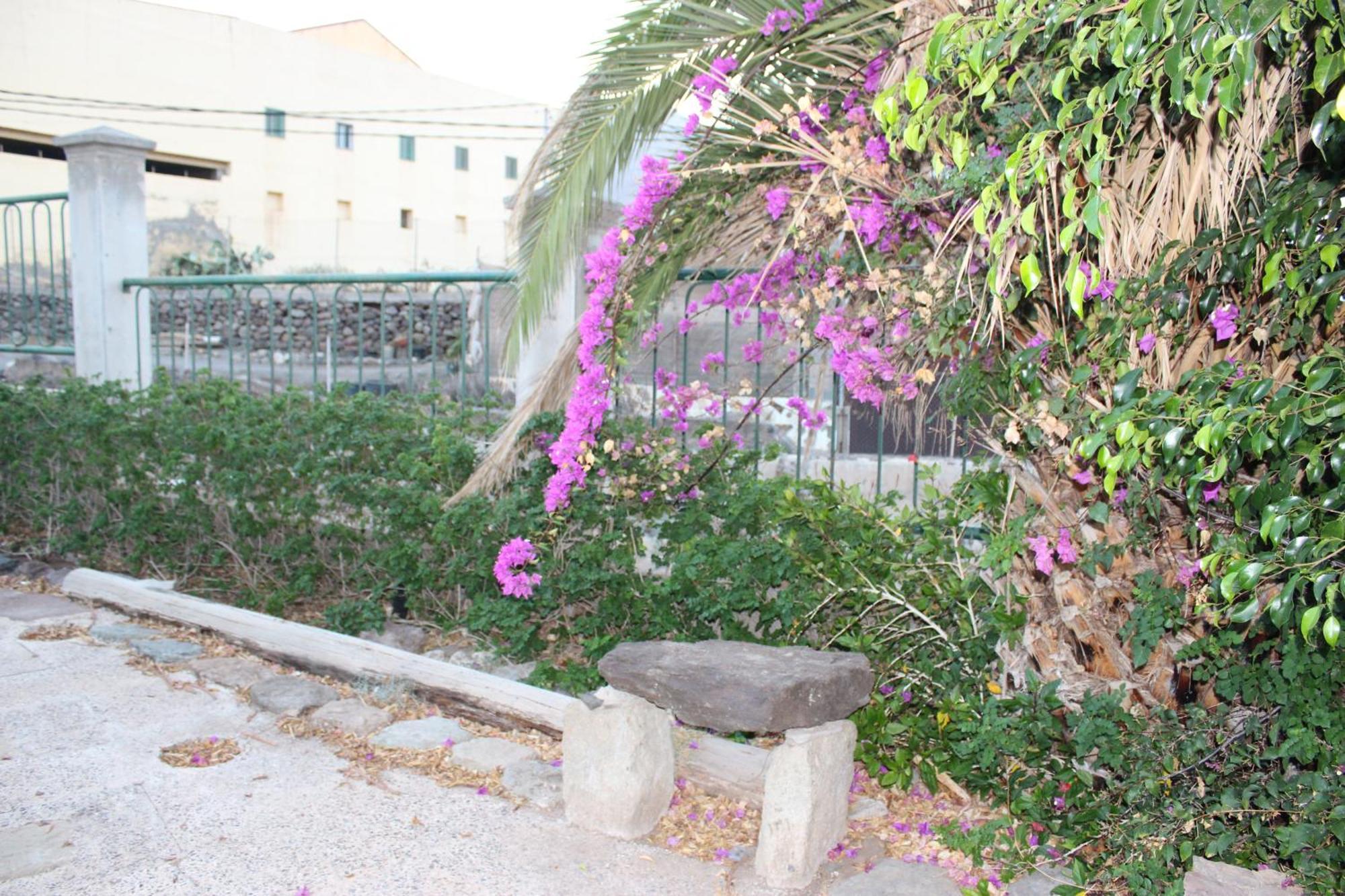 הוילה לאס פאלמס דה גראן קנאריה Casita Lily מראה חיצוני תמונה